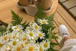 Buy me my favorite flowers & Coffe