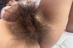 17 cm old bush