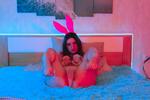 honey rabbit
