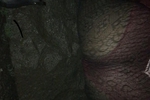juliuspepper live Chaturbate webcam gallery thumbnail