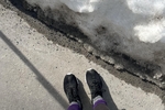 🇨🇦 purple — Foot Freaks - March Album