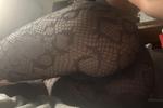 Lace&Ass