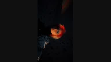 Monafilbert at Chaturbate: Hello, my name is Salvia, this is my 7 ...
