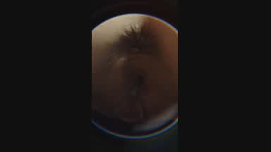 Butterfly Cam