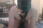 doggy