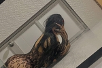 SEXY