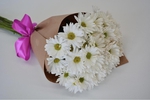 Bouquet of Daisy flowers