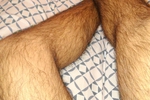 Legs and hair