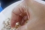 My favorite plan, cinema