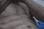 Teasing