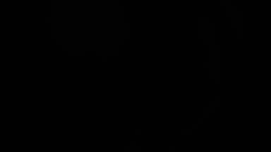 Puppy latex mask -pvt 3some show