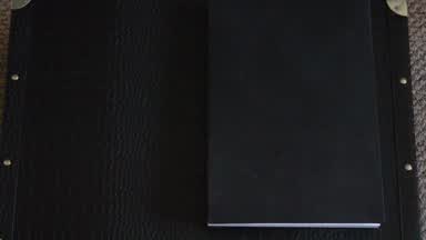 My new Erotic art book