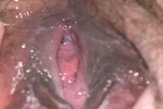 Pussy