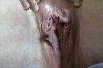 Hucow Pussy