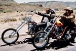 Born to be wild