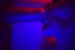 Neon