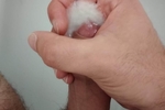 Cum and more cum
