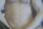 cute muscled anaconda โ Torso