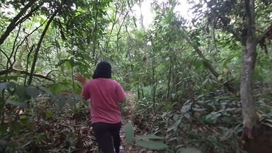 venus ... zeus sheer โ I love connecting with nature, going for walks, an