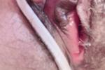 meow neko โ hairy pussy