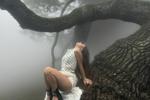 dreamcore