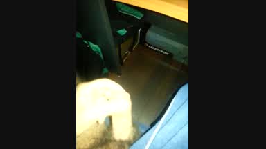 yummy cock