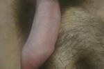 Ljwright25 Small Pathetic Cock