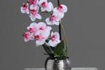 I love flowers