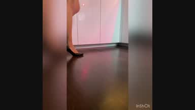 pantyhose