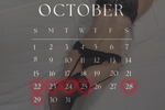 Live Schedule