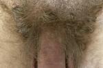 Goldilocks