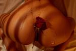 Entre miel et roses ♥