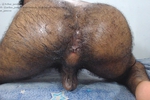ASS CUM
