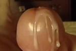 hotnotized โ Creamy Mushroom