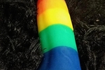 laulope´z toys