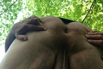 The Great Outdoors