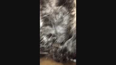 I went out to a party and sucked a 23 cm cock