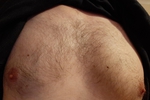 Hairy Chest and Nipples