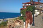 my vacation pics