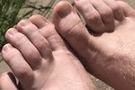 The Feet