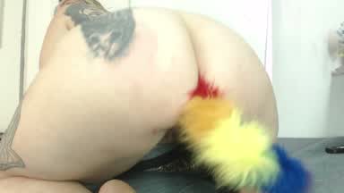 plug anal
