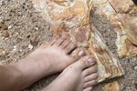 feet