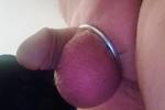 mini_clitty