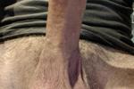 Some cock
