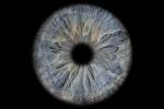 My eye...