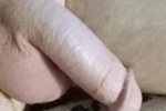 Boyfriends Big Cock