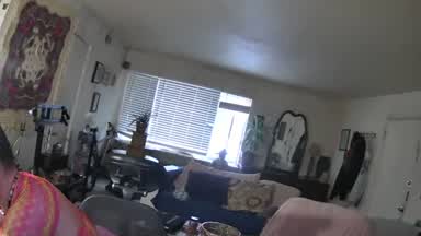 Hangout Forreal