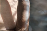 cock