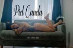 PIEL CANELA