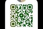 My Telegram Channel
